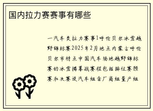 国内拉力赛赛事有哪些